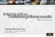 Introduction TrelleborgVibracoustic
