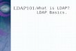 LDAP101:What is LDAP? LDAP Basics