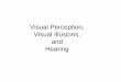 Visual Perception Illusions & Hearing