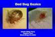 Bed Bug Basics - VDACS