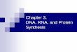 Chapter 3. DNA, RNA, and Protein Synthesis