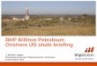 BHP Billiton Petroleum Investor Briefing Presentation