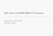 Soft Cores and ARM/RISC-V Processors