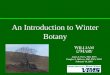 An Introduction to Winter Botany