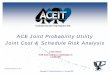 T-ACE Joint Probability Utility (20Jan2009).ppt