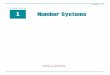 CHAPTER 1 Number Systems - ilmkidunya.com