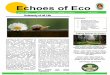 Echoes of Eco - VK-NARDEP