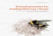 Kunnskapsstatus for insektpollinering i Norge