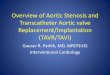 Overview of Aortic Stenosis and Transcatheter Aortic valve 