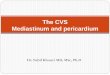 The CVS Mediastinum and pericardium