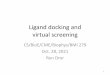 Ligand docking and virtual screening