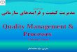 Quality Management & Processes