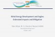 Wind Energy Development and Eagles: Estimated Impacts and 
