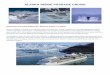 ALASKA INSIDE PASSAGE CRUISE - ABS Travel Group