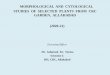 Morphological and cytological studies of selected plants 