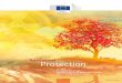 Radiation Protection - AIFM