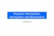 Reaction Mechanism, Bioreaction and Bioreactors