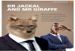 COLLEAGUE-COLLEAGUE INTERFACE DR JACKAL AND MR GIRAFFE