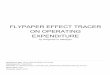 EXPENDITURE ON OPERATING FLYPAPER EFFECT TRACER