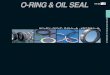 O-RING & OIL SEAL 113