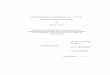 Political Socialization: The Political Messages in 