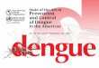 State of the Art in Prevention and Control of Dengue in 