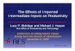 The Effects of Imported Intermediate Inputs on Productivity