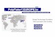 PolyFlake Europe Presentation 10 feb 2021