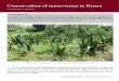 Conservation of sansevierias in Kenya by L.E. Newton