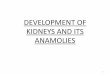 DEVELOPMENT OF KIDNEYS AND ITS ANAMOLIES