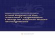 Final Report of the National Cooperation Group on Nuclear 