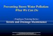 Storm Water Pollution Prevention: What We Can Do