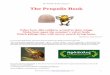 The Propolis Book, Chapter 1: The Propolis Book