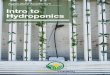 Intro to Hydroponics - ag-academy.newzenler.com
