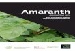 Amaranth - une.edu.au