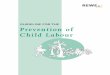 GUIDELINE FOR THE Prevention of Child Labour