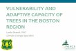 VULNERABILITY AND ADAPTIVE CAPACITY OF TREES IN THE …