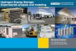 Hydrogen Energy Storage: Experimental analysis and modeling