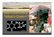 Meth Chemistry “What’s Cookin’?”