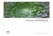 Journal of Plant Sciences - docsdrive.com