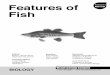 Features of Fish guide - Visual Learning Sys