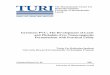 Green(er) PVC Final Report - TURI