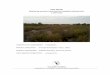 FINAL REPORT Monitoring secretive marsh birds in 
