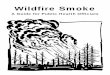 Wildfire Smoke - California