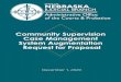 Community Supervision Case Management System Augmentation 