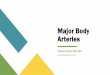 Major Body Arteries - WordPress.com