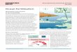 Ocean fertilization - Geoengineering Monitor