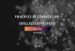 PRINCIPLES OF COMMON LAW: INTELLECTUAL PROPERTY