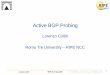 Active BGP Probing - RIPE 82