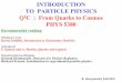 INTRODUCTION TO PARTICLE PHYSICS Q C: From Quarks to 